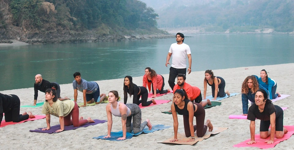 500 Hour 500 Hour Yoga Teacher Training in Rishikesh